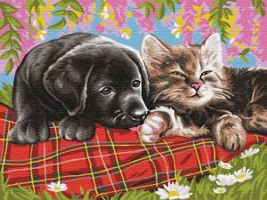 Раскраска котики и собачки для детей #16 #350854