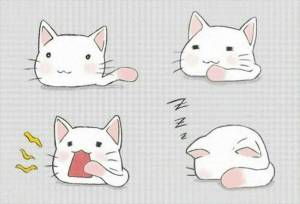 Раскраска котов как аниме #37 #351135