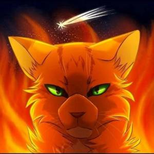 Раскраска коты воители огнезвезд #2 #351214