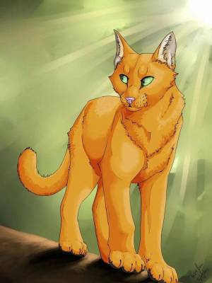 Раскраска коты воители огнезвезд #5 #351217