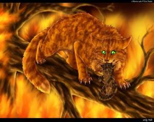 Раскраска коты воители огнезвезд #8 #351220