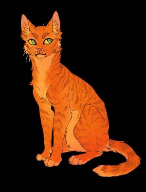 Раскраска коты воители огнезвезд #12 #351224