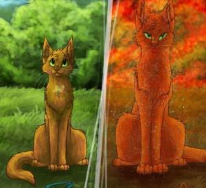 Раскраска коты воители огнезвезд #13 #351225