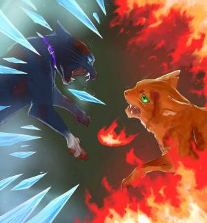 Раскраска коты воители огнезвезд #21 #351233