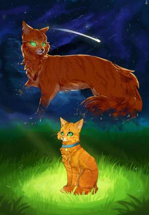 Раскраска коты воители огнезвезд #22 #351234