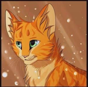 Раскраска коты воители огнезвезд #23 #351235
