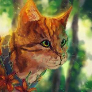 Раскраска коты воители огнезвезд #28 #351240