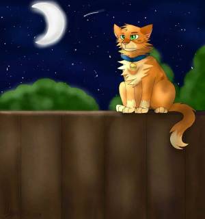 Раскраска коты воители огнезвезд #31 #351243