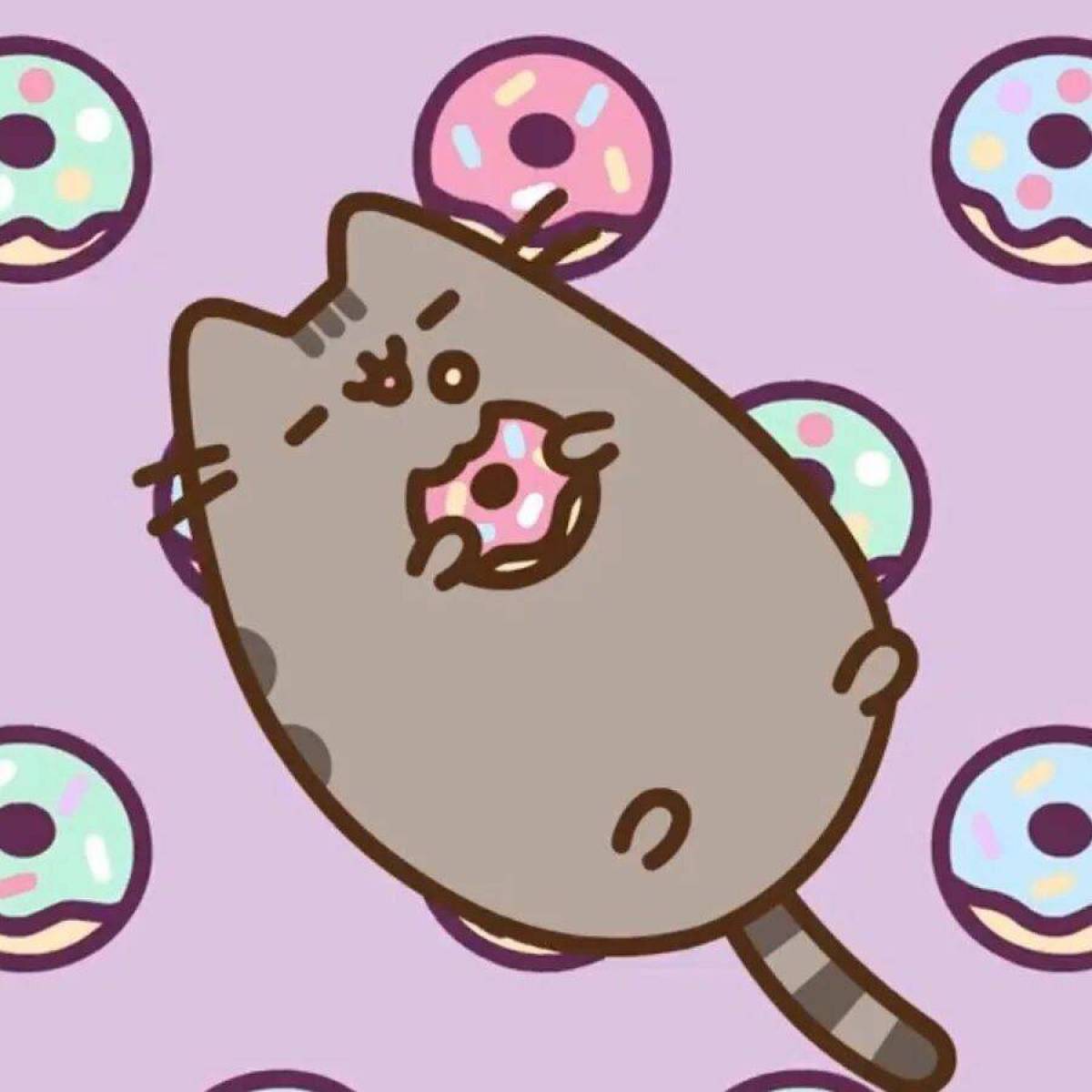 Кот пончик #5