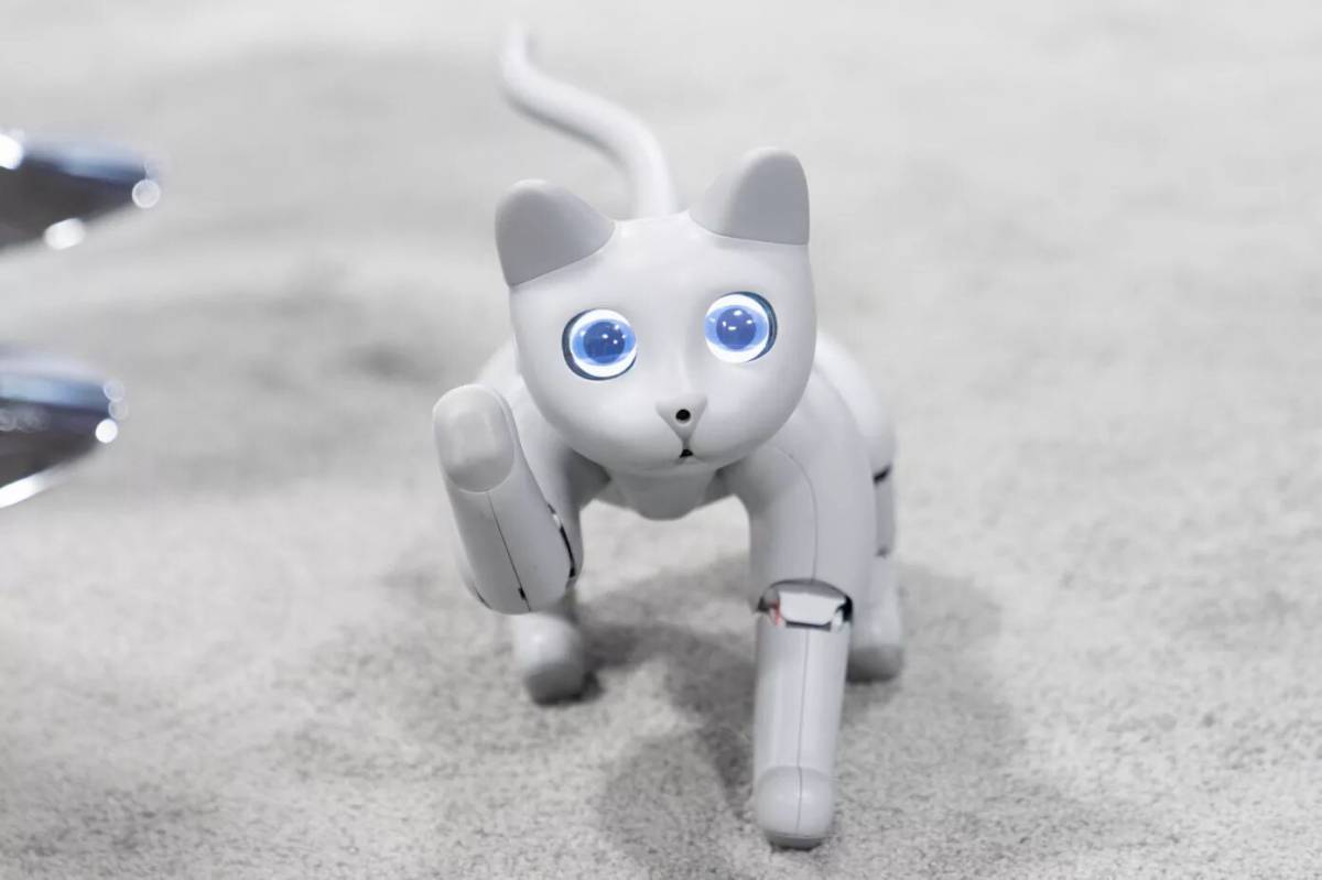 Кот робот #1