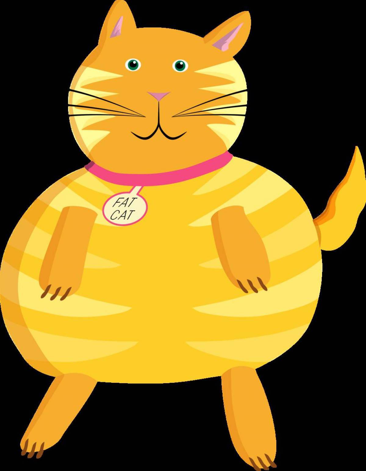Кот толстый #19