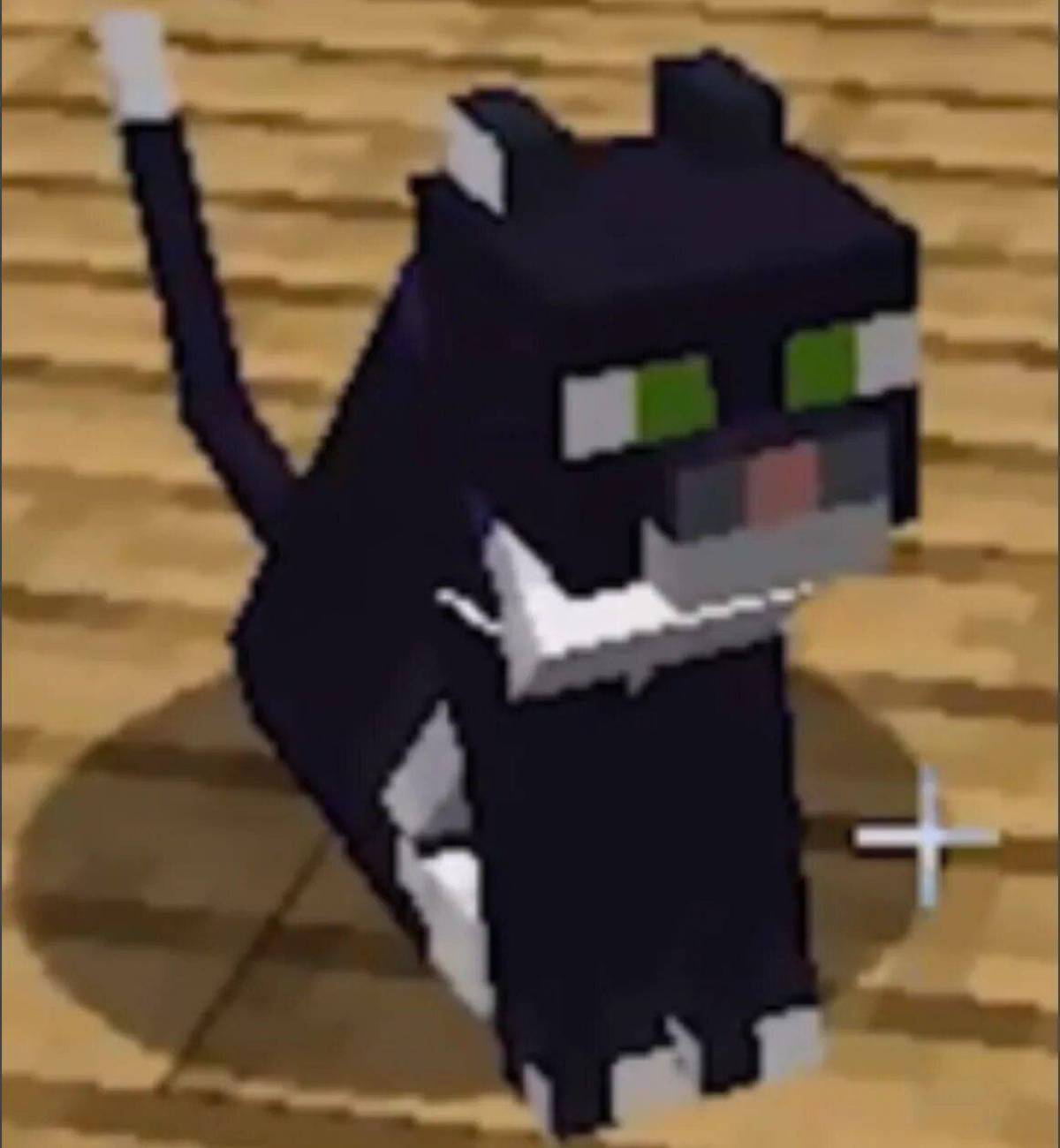 Включи minecraft cat. Кот в МАЙНКРАФТЕ. Кошка в МАЙНКРАФТЕ. Котенок из МАЙНКРАФТА. Черный кот из МАЙНКРАФТА.
