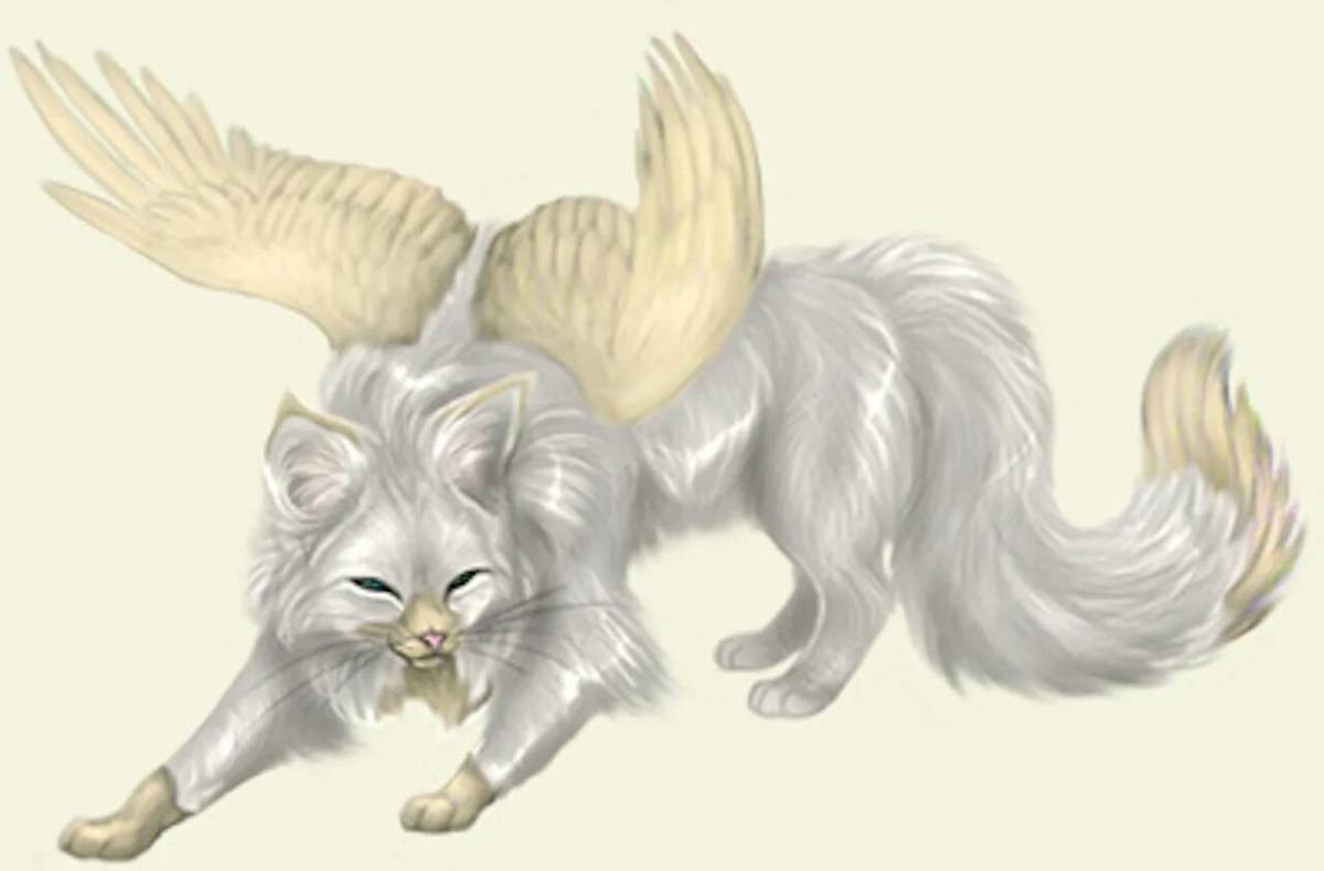 Котик с крыльями #34