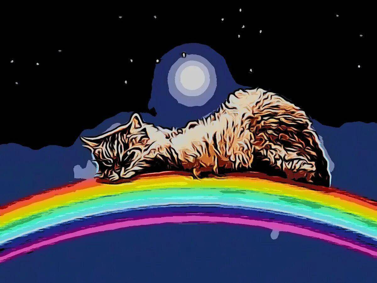 Котик с радугой #19