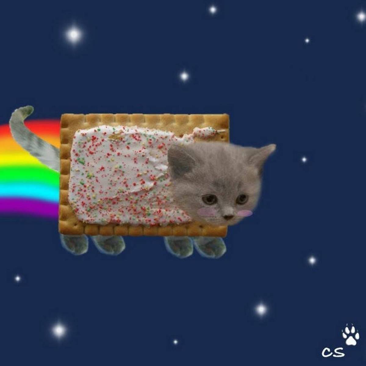 Котик с радугой #27