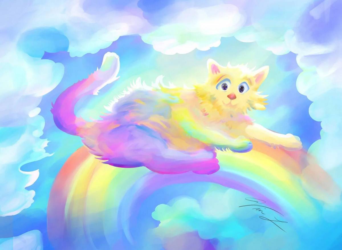 Котик с радугой #37
