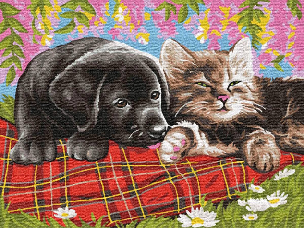 Котики и собачки для детей #16