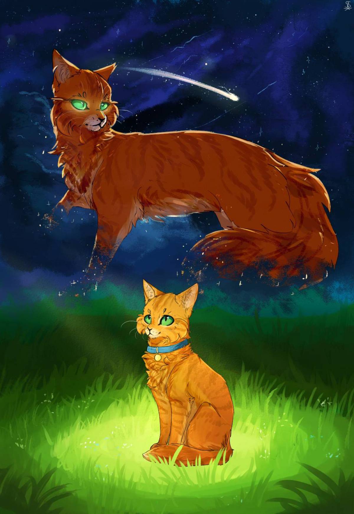 Коты воители огнезвезд #22