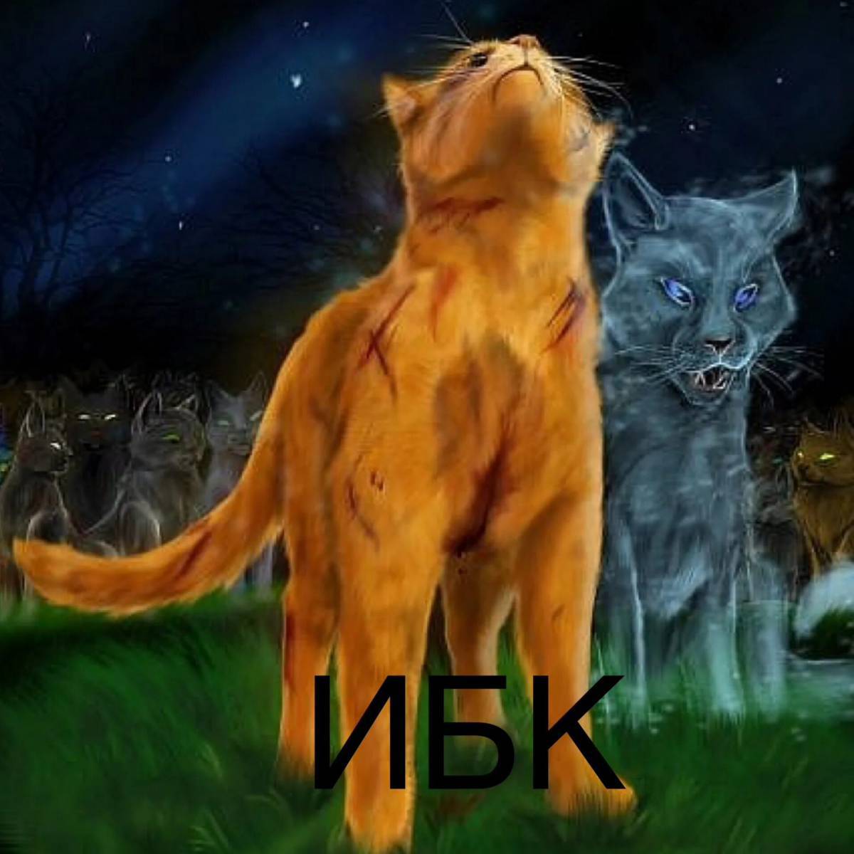 Коты воители огнезвезд #26