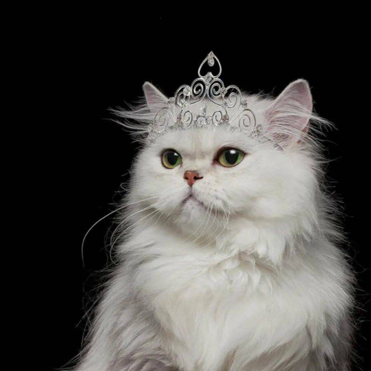 Кошка с бусами
