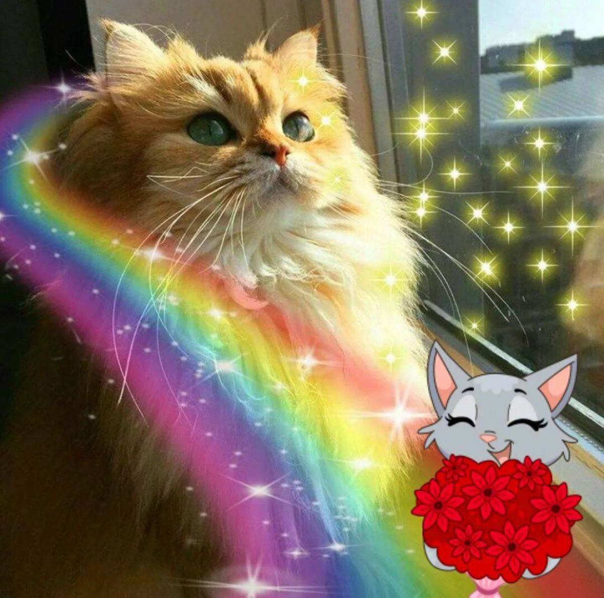 Включи радужные друзья кот. Радужная кошка. Радужные котята. Волшебные котики. Кошка на радуге.