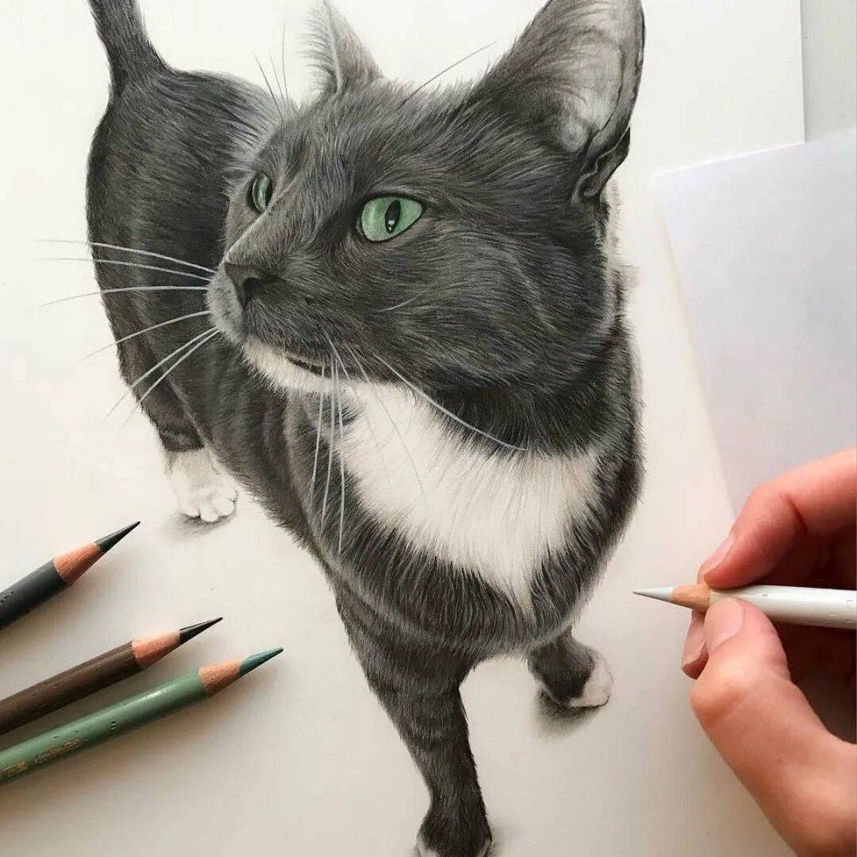 Pencil cats. Кошка карандашом. Рисунки котов. Кошка маркерами. Нарисовать кошку.