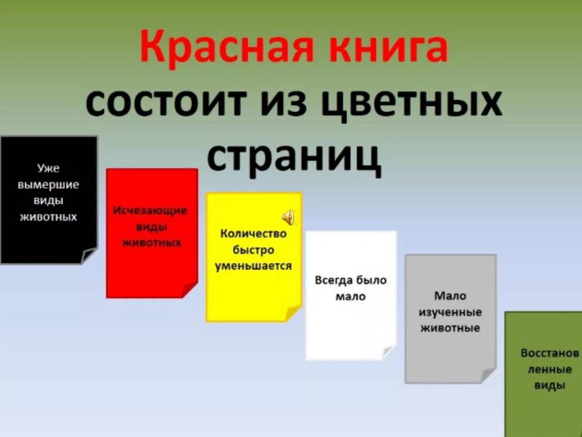 Презентация красной книги россии