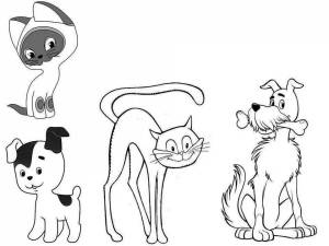 Раскраска кошечки собачки для детей мультсериал #17 #352111