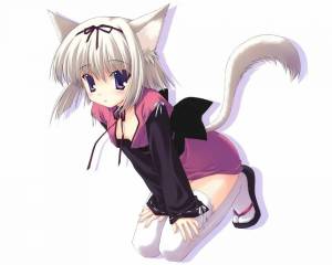 Раскраска кошка аниме девушка #16 #352284