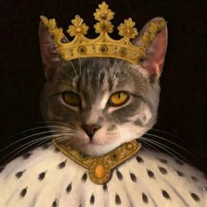 Раскраска кошка королева #8 #352605