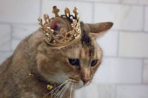 Раскраска кошка королева #22 #352619
