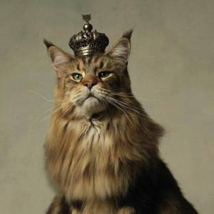 Раскраска кошка королева #26 #352623