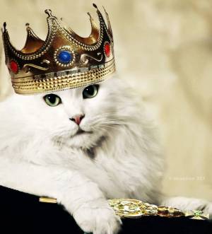 Раскраска кошка королева #38 #352635