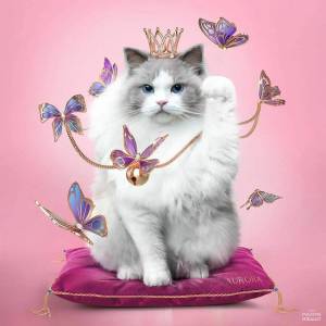Раскраска кошка принцесса #13 #352716