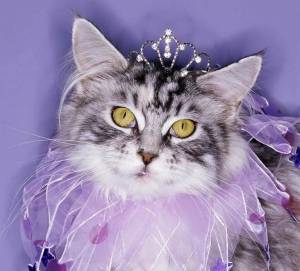 Раскраска кошка принцесса #17 #352720