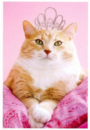 Раскраска кошка принцесса #24 #352727