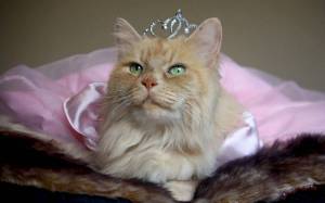Раскраска кошка принцесса #37 #352740