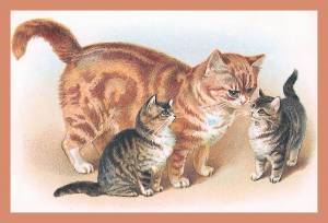 Раскраска кошка с котятами для детей #2 #352897