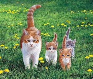 Раскраска кошка с котятами для детей #4 #352899