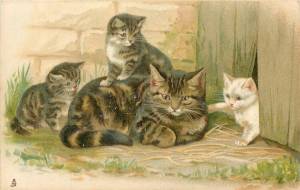 Раскраска кошка с котятами для детей #14 #352909