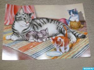 Раскраска кошка с котятами для детей #19 #352914