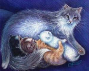 Раскраска кошка с котятами для детей #31 #352926