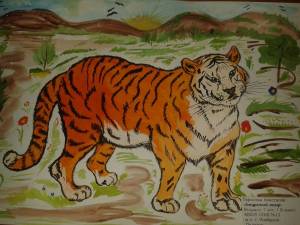 Раскраска красная книга амурский тигр #3 #354823