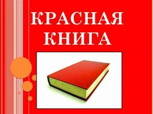 Раскраска красная книга для детей #1 #354860