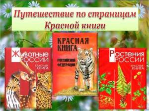 Раскраска красная книга для детей #3 #354862