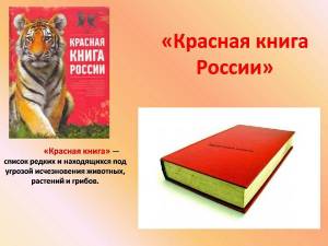 Раскраска красная книга для детей #8 #354867