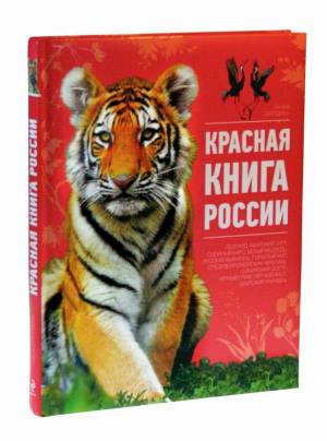 Раскраска красная книга для детей #16 #354875