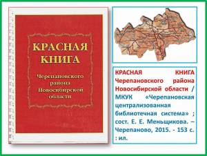 Раскраска красная книга для детей #20 #354879