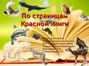 Раскраска красная книга для детей #27 #354886