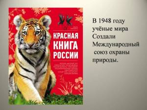 Раскраска красная книга россии #8 #354906